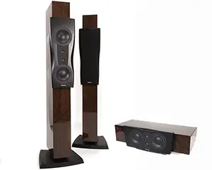 Dynaudio Confidence 20